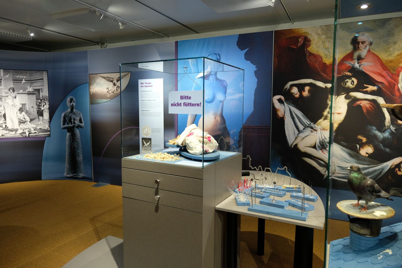Taubenausstellung im Naturmuseum Solothurn